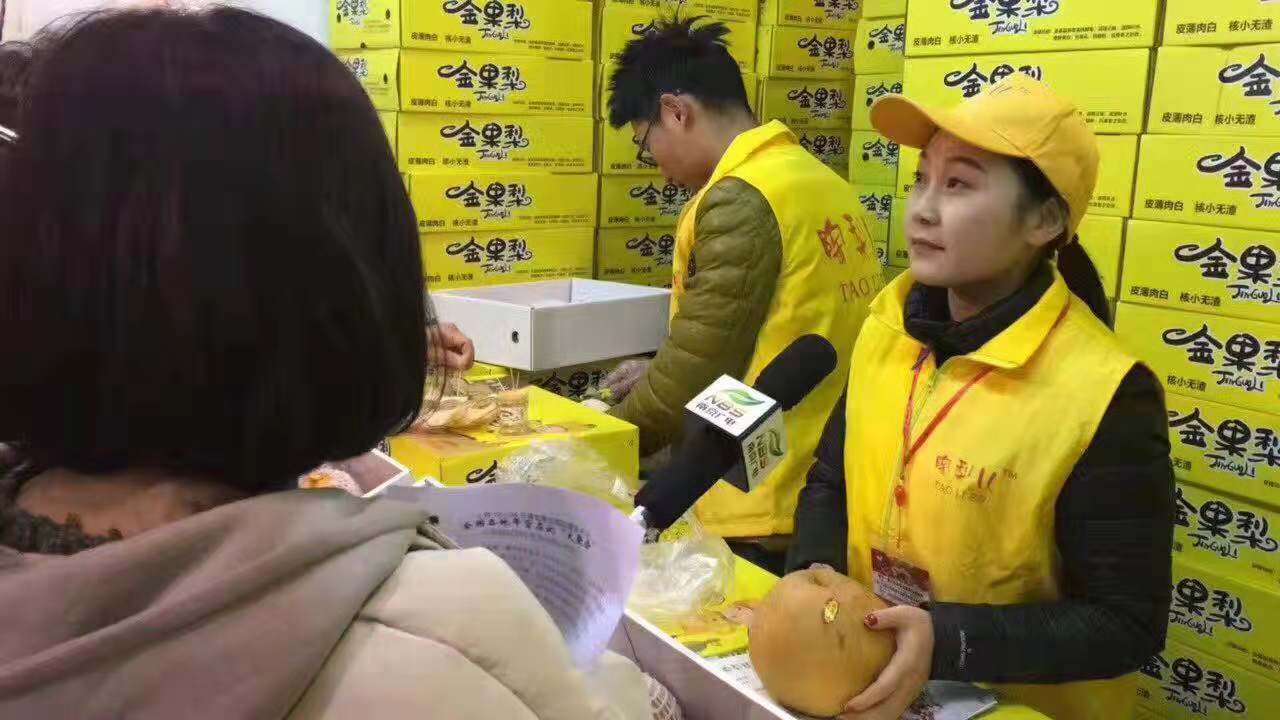 陶梨儿金果梨合肥展会客流量引爆，各媒体争向采访